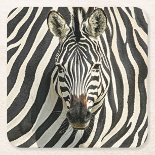 Zebra Onderzetters