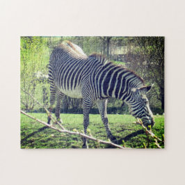 Zebra Ontspannende zelfzorg Legpuzzel