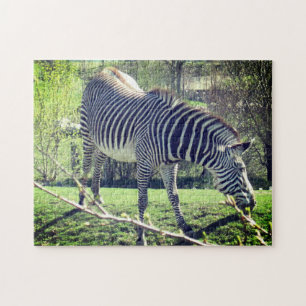 Zebra Ontspannende zelfzorg Legpuzzel
