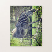 Zebra Ontspannende zelfzorg Legpuzzel (Verticaal)