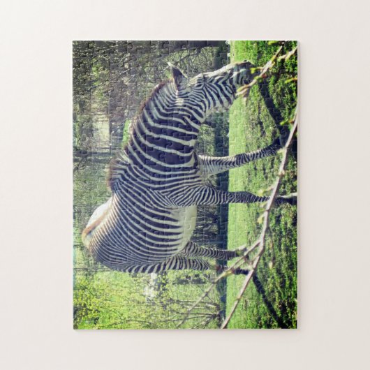 Zebra Ontspannende zelfzorg Legpuzzel (Verticaal)