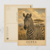 Zebra Oost-Afrikaanse savanne VINTAGE Briefkaart (Voorkant / Achterkant)