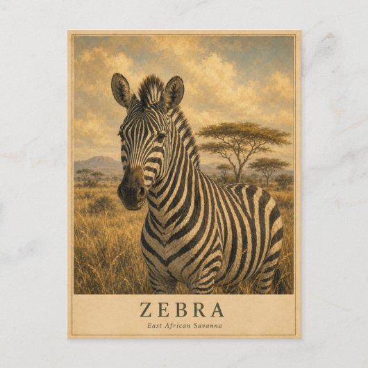 Zebra Oost-Afrikaanse savanne VINTAGE Briefkaart (Voorkant)