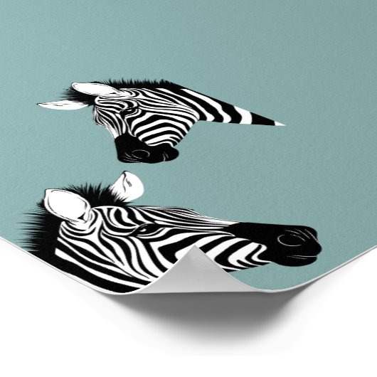 Zebra op blauw Poster (Hoek)