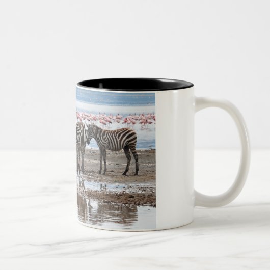 Zebra op de Mok van het meer Nakuru Kenya (Rechts)