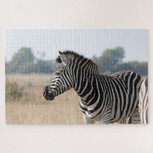 Zebra op de safari legpuzzel