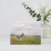 Zebra op het platteland, Zuid-Afrika Briefkaart (Staand voorkant)