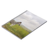 Zebra op het platteland, Zuid-Afrika Notitieboek (Linkerzijde)