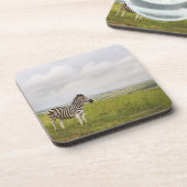 Zebra op het platteland, Zuid-Afrika Onderzetter (Linkerzijde)