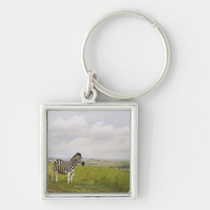 Zebra op het platteland, Zuid-Afrika Sleutelhanger