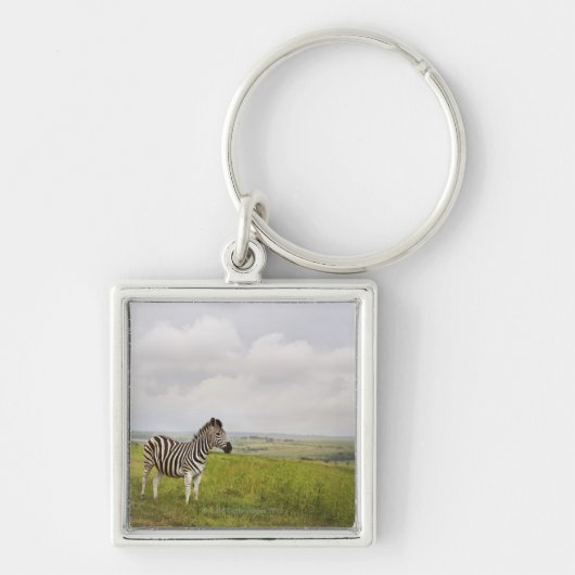 Zebra op het platteland, Zuid-Afrika Sleutelhanger (Voorkant)