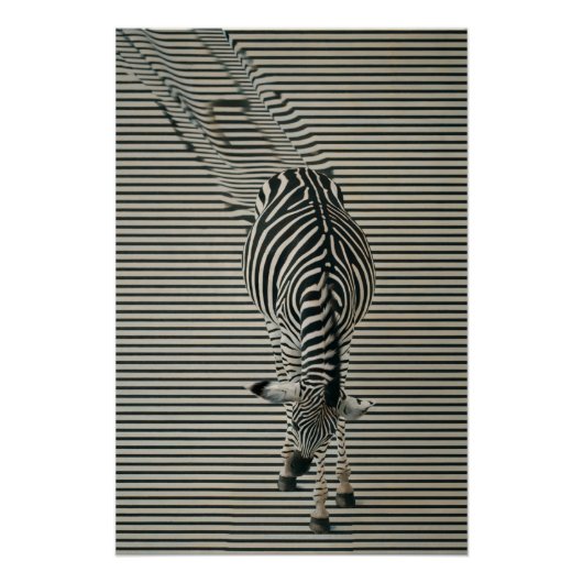Zebra-Optik Poster | Surrealistische Tierkunst (Voorkant)