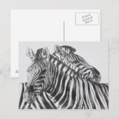 Zebra Original Pencil Drawing Briefkaart (Voorkant / Achterkant)