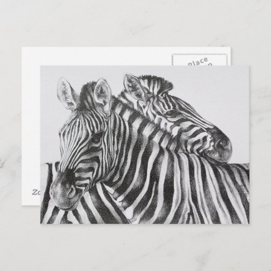 Zebra Original Pencil Drawing Briefkaart (Voorkant / Achterkant)