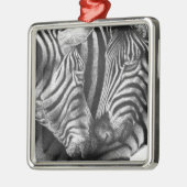 Zebra Ornament (Links)