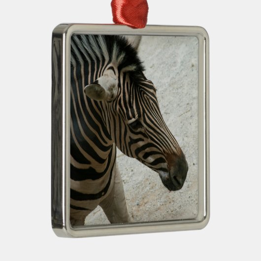 Zebra Ornament (Rechts)