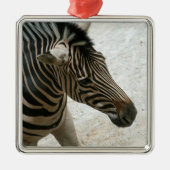 Zebra Ornament (Voorkant)