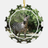 Zebra Ornament (Voorkant)