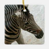 Zebra Ornament (Voorkant)