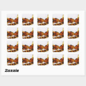 Zebra Oto Otocinclus meerval vis Sticker (Vel)