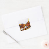 Zebra Oto Otocinclus meerval vis Sticker (Envelop)
