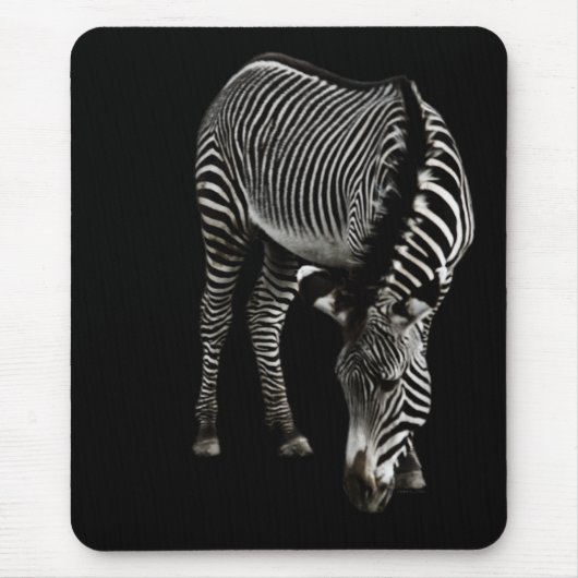 Zebra P4435 Mousepad Muismat (Voorkant)