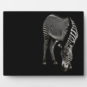 Zebra P4435 Plaque Fotoplaat