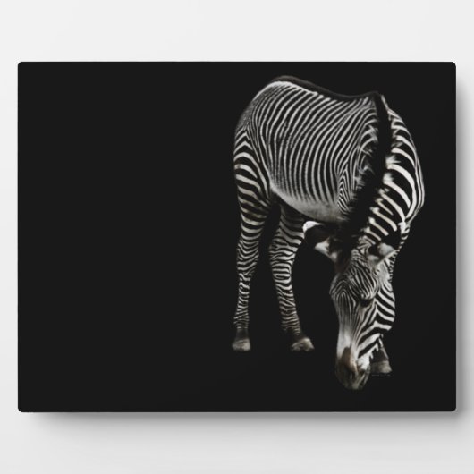 Zebra P4435 Plaque Fotoplaat (Voorkant)
