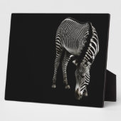 Zebra P4435 Plaque Fotoplaat (Zijkant)