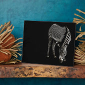 Zebra P4435 Plaque Fotoplaat (Zijkant)