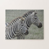 zebra paar legpuzzel (Horizontaal)