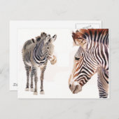 "Zebra Paar" Waterverf Wildlife Art Briefkaart (Voorkant / Achterkant)