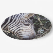 Zebra Papieren Bordje (Gekanteld)