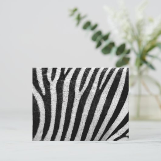 Zebra Pattern Briefkaart (Staand voorkant)
