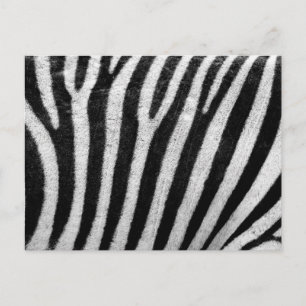 Zebra Pattern Briefkaart