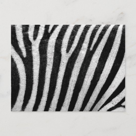 Zebra Pattern Briefkaart (Voorkant)