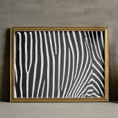 Zebra Pattern Poster voor meubelpapier