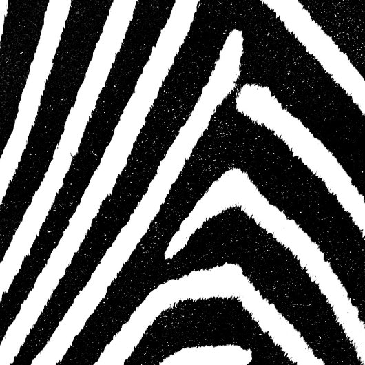 Zebra Pattern Poster voor meubelpapier