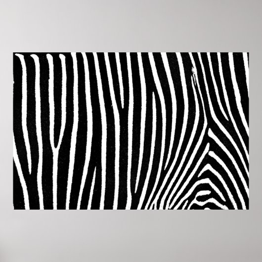 Zebra Pattern Poster voor meubelpapier (Voorkant)