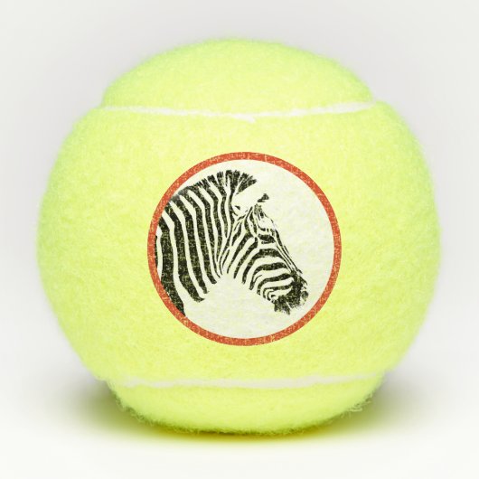 ZEBRA PENN 2 TENNIS BALL TENNISBALLEN (Voorkant)