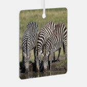 Zebra Persoonlijke naam Kerstmis Metalen Ornament (Voorkant Rechts)