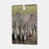 Zebra Persoonlijke naam Kerstmis Metalen Ornament (Voorkant links)