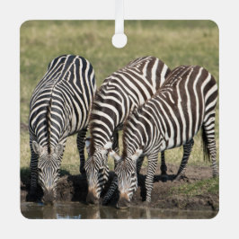 Zebra Persoonlijke naam Kerstmis Metalen Ornament