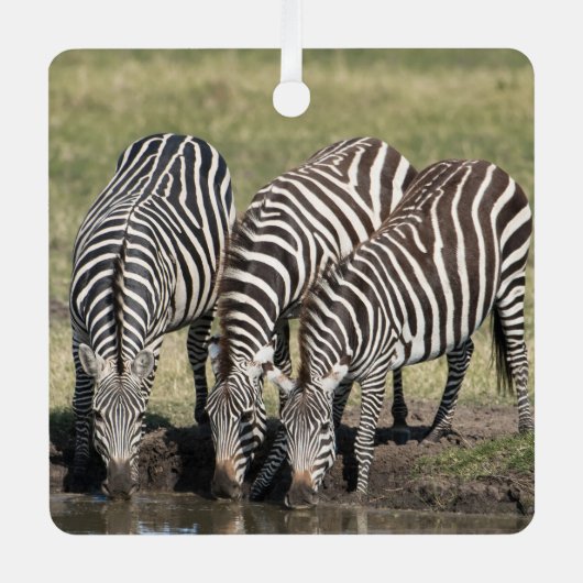 Zebra Persoonlijke naam Kerstmis Metalen Ornament (Voorkant)