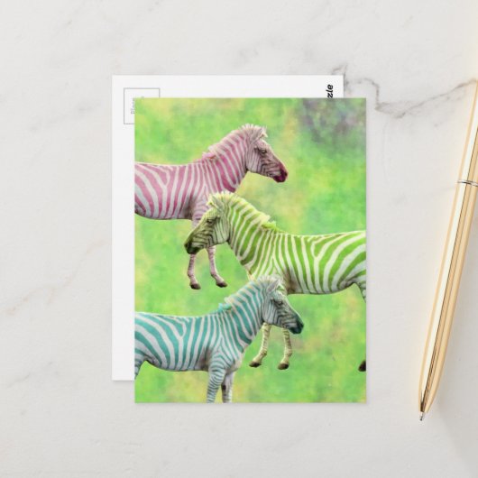 Zebra Pink Blue Green Briefkaart (Voorkant / Achterkant in situ)