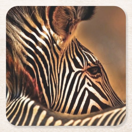 Zebra plastic onderzetter (Voorkant)