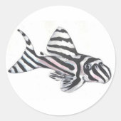 Zebra Pleco L46 Catfish Sticker (Voorkant)