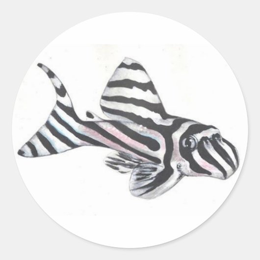 Zebra Pleco L46 Catfish Sticker (Voorkant)