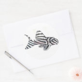 Zebra Pleco L46 Catfish Sticker (Envelop)