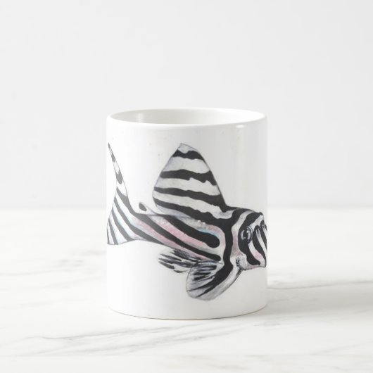 Zebra Pleco L46 Mok (Center)